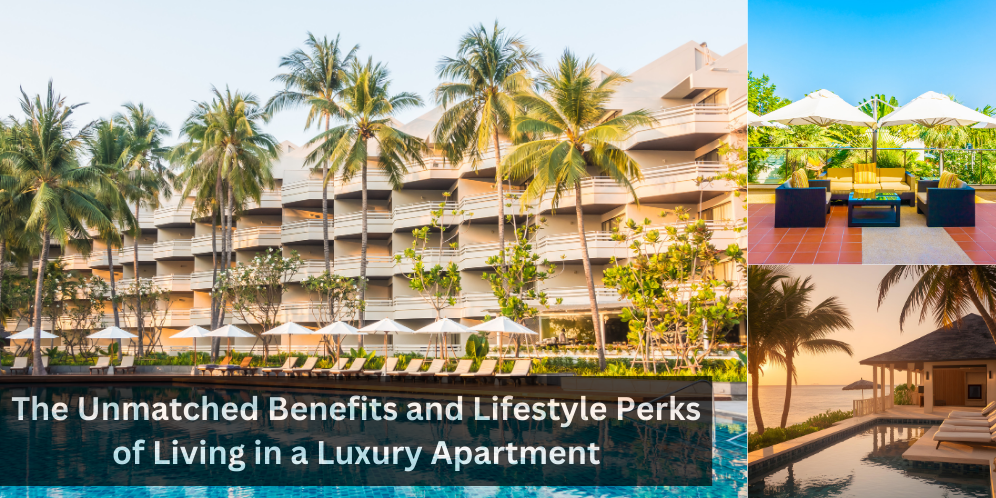 luxury apartments for holiday